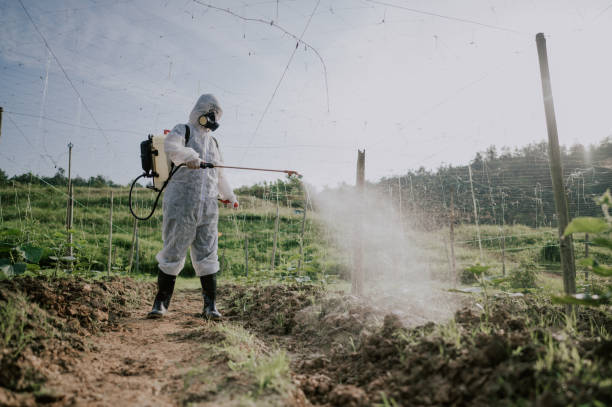 Best Best Pest Control Companies  in Las Maravillas, NM