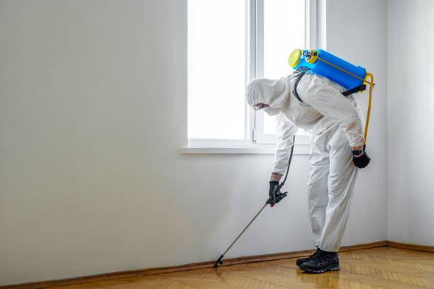 Best Pest Control Near Me in Las Maravillas, NM