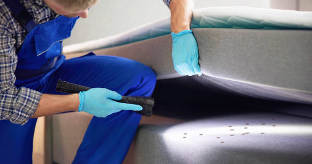 Best Wasp Removal Services  in Las Maravillas, NM