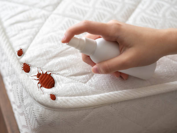  Las Maravillas, NM Pest Control Pros