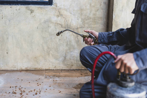 Pest Control Cost in Las Maravillas, NM